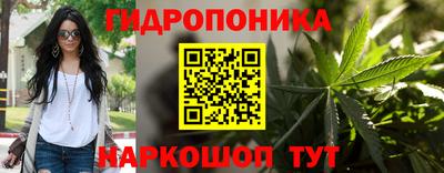 мдпв Пугачёв