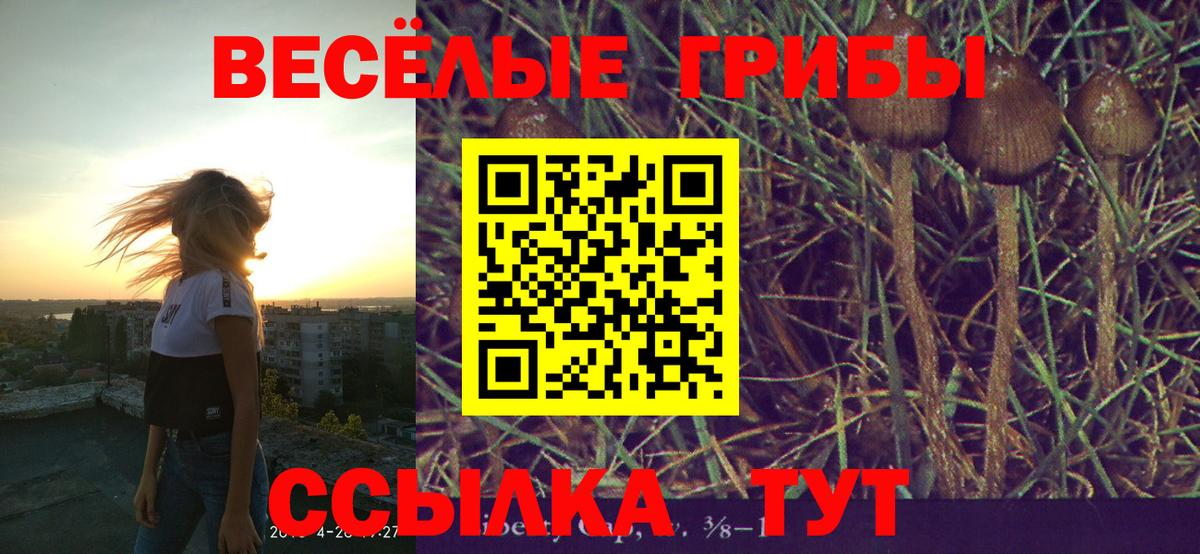 магазин  наркотиков  Вход с VPN  Рассказово  Галлюциногенные грибы Magic Shrooms 