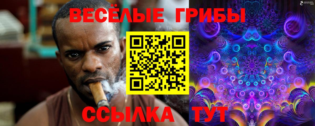 Галлюциногенные грибы Cubensis Рассказово